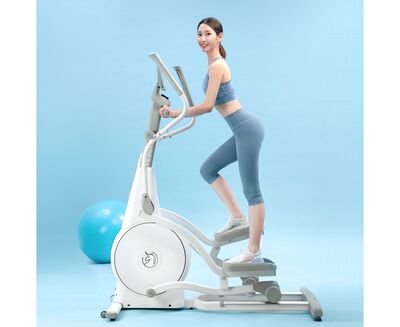   YESOUL Smart Elliptical machine E30S (,  4)