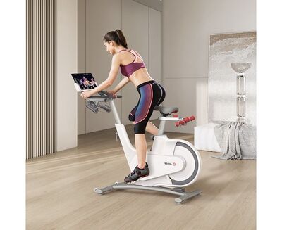  YESOUL Smart Spinning bike V1  (,  1)