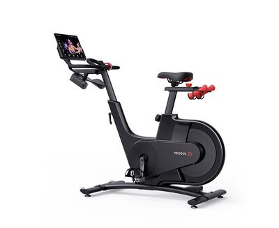  YESOUL Smart Spinning bike V1  (,  6)