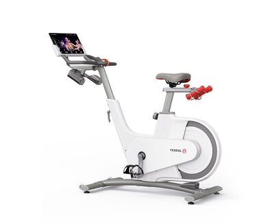  YESOUL Smart Spinning bike V1  ()